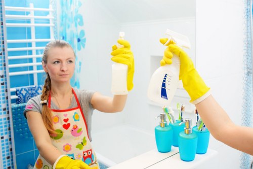 Image showing inclusive web design for local cleaning services