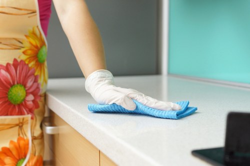 Thorough kitchen deep cleaning in a Richmond home