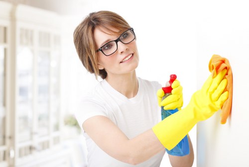 Modern kitchen appliance cleaning for local Richmond properties