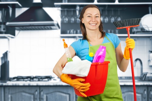 Local sofa cleaning service for a modern apartment in Richmond