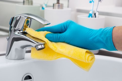 End of lease bathroom cleaning in a Richmond upon Thames property