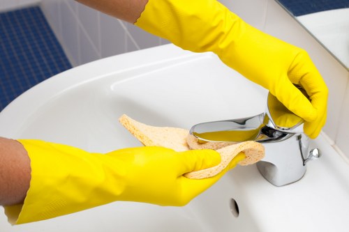 Detailed kitchen and bathroom deep clean in Richmond area property